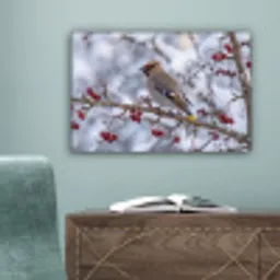 Pestvogel - Bessen - Winter - Natuur canvas 2cm klein -sfeer4