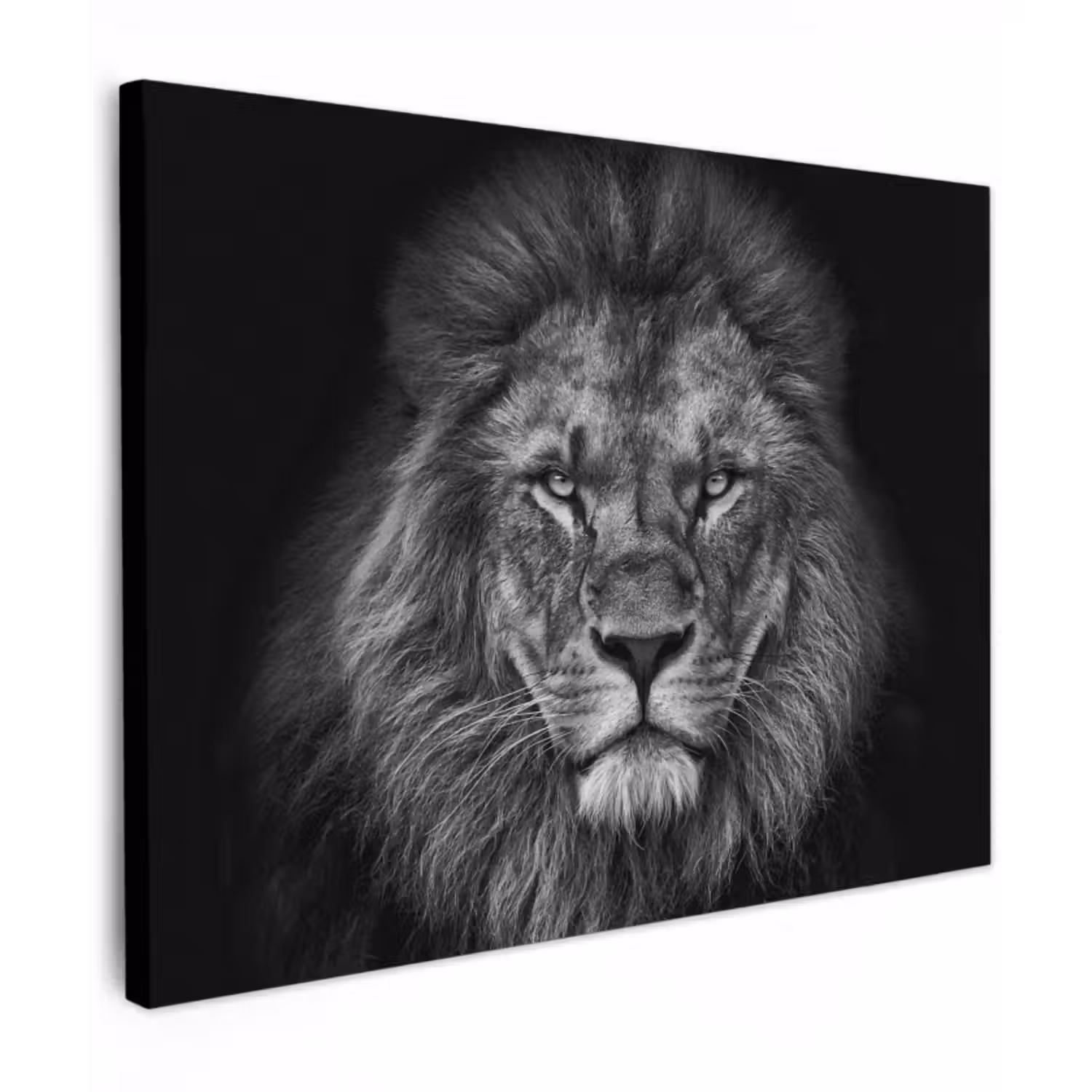 Canvas schilderij - Leeuw - Dieren - Zwart - Wit
