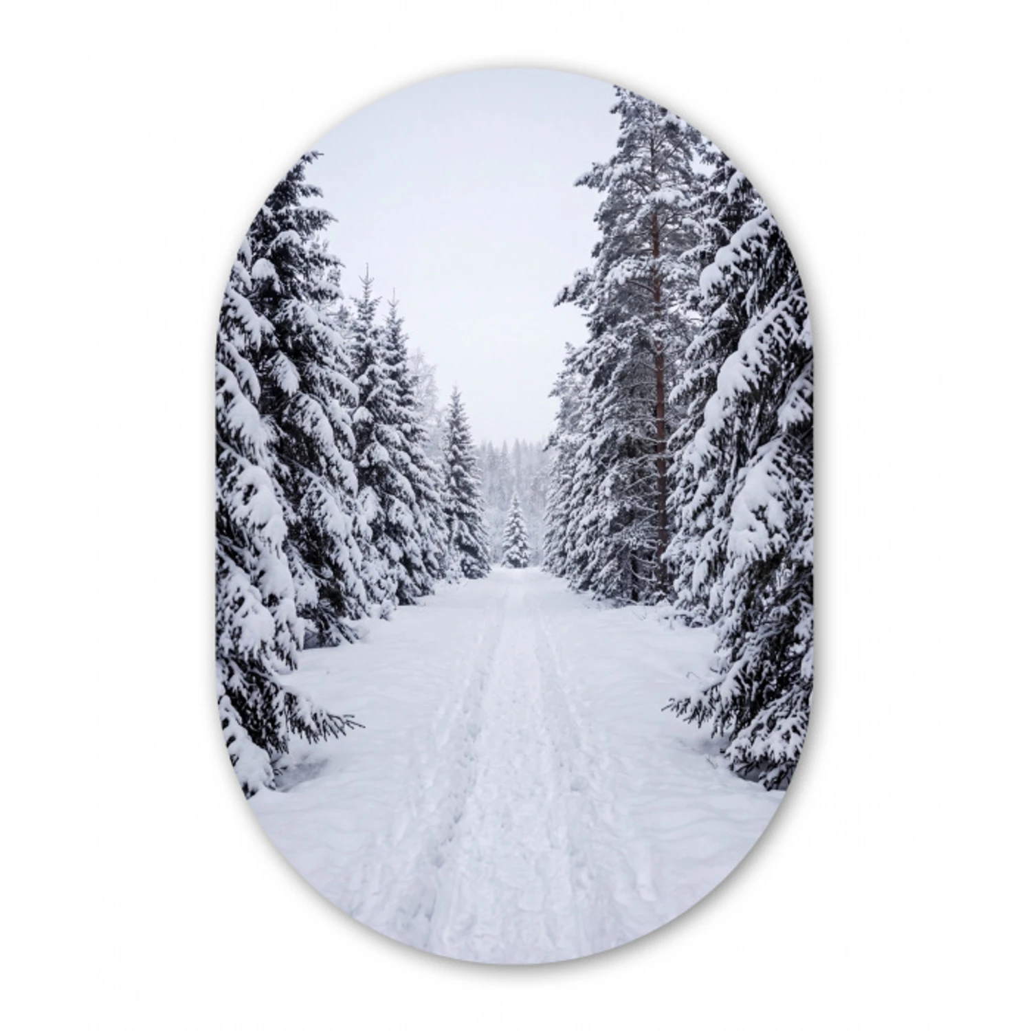 Bos - Winter - Sneeuw - Pad - Natuur Wandcirkel Ovaal Forex klein -3d