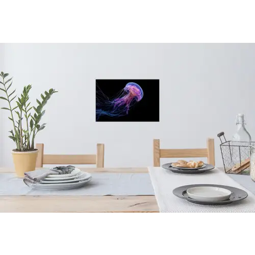Kwal - Doorzichtig - Roze - Tentakels Muursticker klein -eettafel