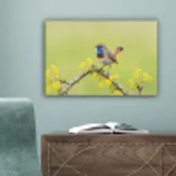 Vogel - Tak - Natuur - Kleurrijk canvas 2cm klein -sfeer4