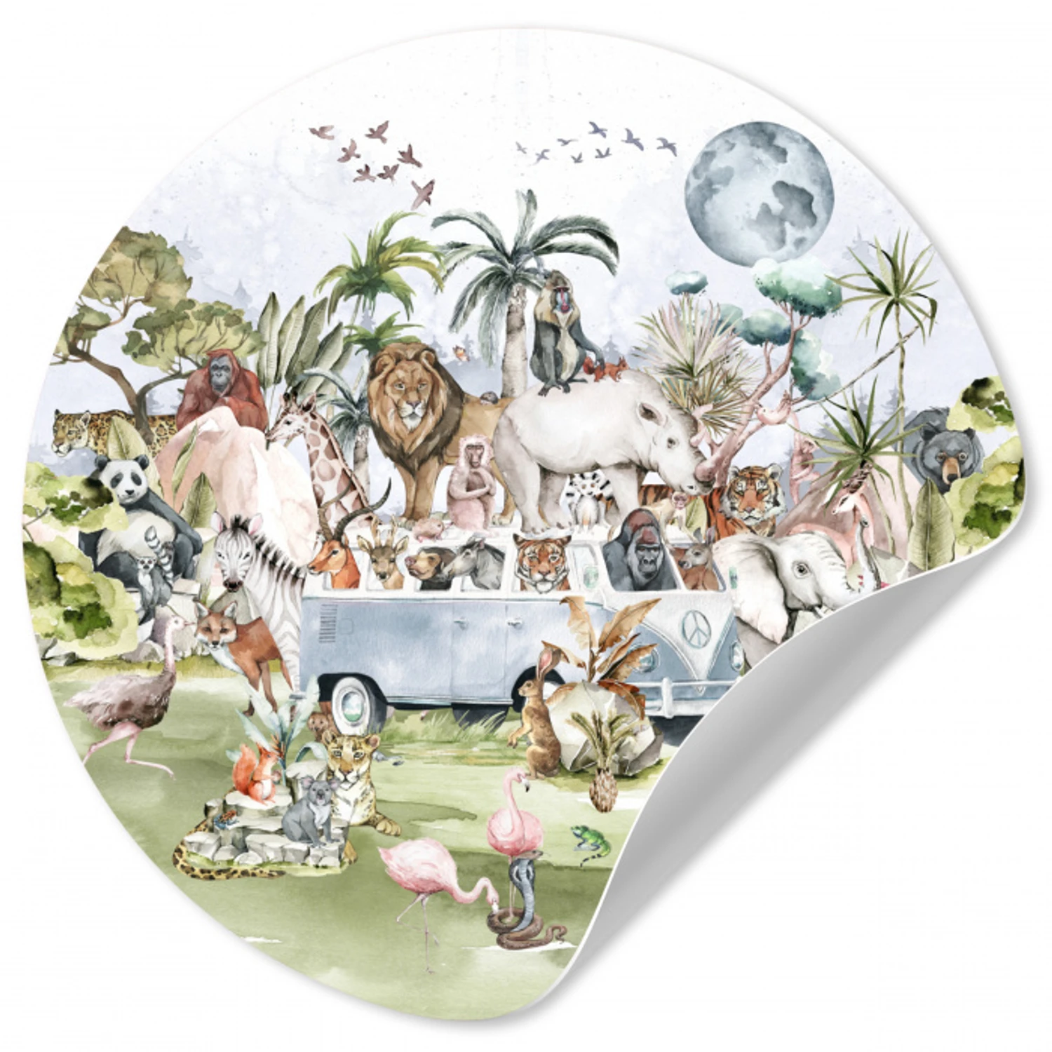 Jungle - Bus - Dieren - Kinderen - Planten Wandcirkel behangsticker klein -3d