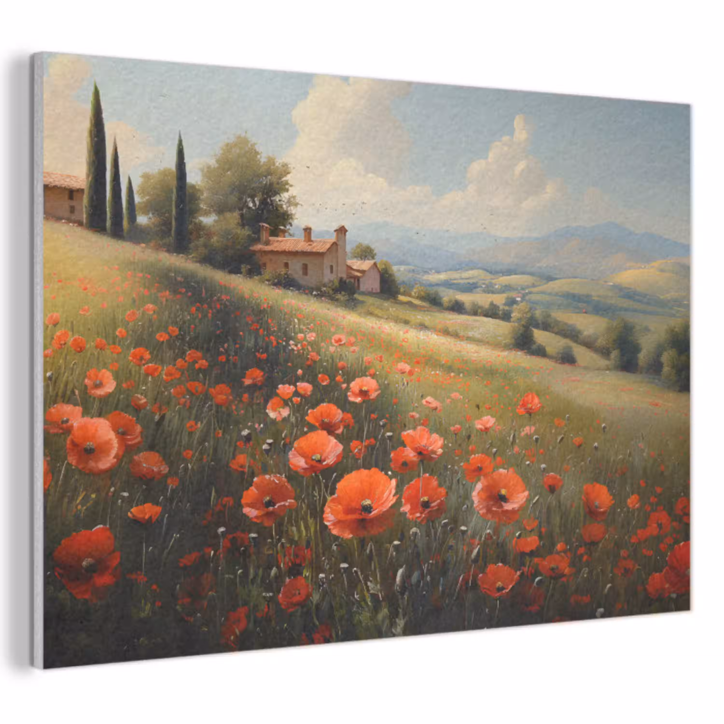 Klaprozen - Rood - Heuvels - Landschap PET vilt klein -3d