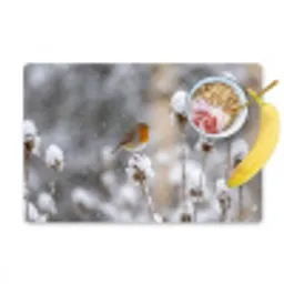 Roodborstje - Gedroogde bloem - Sneeuw - Winter - Vertederend Placemat vinyl groot -zzzproduct_Kitchenyeah-website