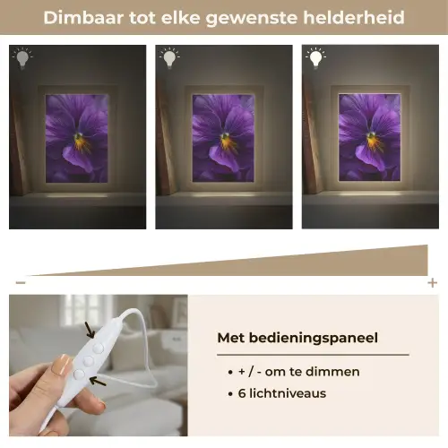 Paars - Viool - Diepte Light Box met kabel (Tafellamp) klein -USP_dimbaarNL
