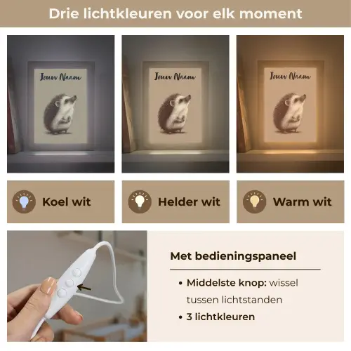 Egel - Snuitje - Bruin - Stekels Light Box met kabel (Kinderlampje) klein -USP_lichtkleurNL