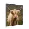 Schotse hooglander - Bergen - Grasveld aluminium wit klein -3d