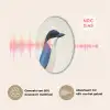 Illustratie - Blauw - Vogel Akoestische PET Vilt - Rond klein -USP_NL