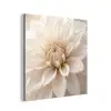 Bloem - Dahlia - Wit aluminium wit klein -3d