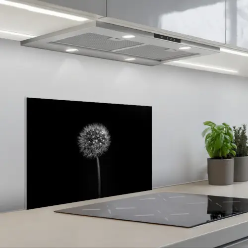 Paardenbloem - Zwart - Bloemen - Botanisch keuken achterwand spatscherm klein -3d_schuin