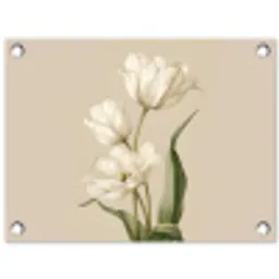 Tulpen - Wit - Bladeren tuinposter los doek klein -3d