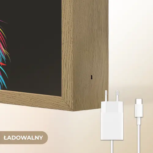 Leeuwen - Kleurrijk - Zwart - Dieren Light Box met batterij (Wandlamp kind) middel -USP_websiteoplaadbaarNL