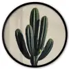 Cactus - Subtiel - Groen Fotolijst rond zonder passe partout klein -3d