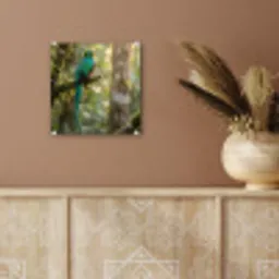 Quetzal - Jungle - Natuur - Groen plexiglas 5mm klein -sfeer5