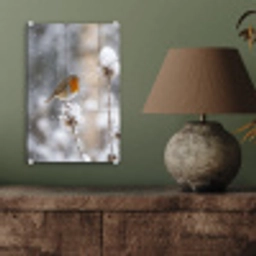 Roodborstje - Gedroogde bloem - Sneeuw - Winter - Vertederend plexiglas 5mm klein -sfeer3