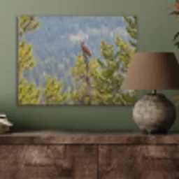 Uil - Oehoe - Bomen - Natuur PET vilt klein -sfeer2