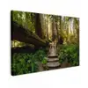 Jungle - Natuur - Trap - Bomen Tuinposter op houten frame 2 cm dik klein -3d
