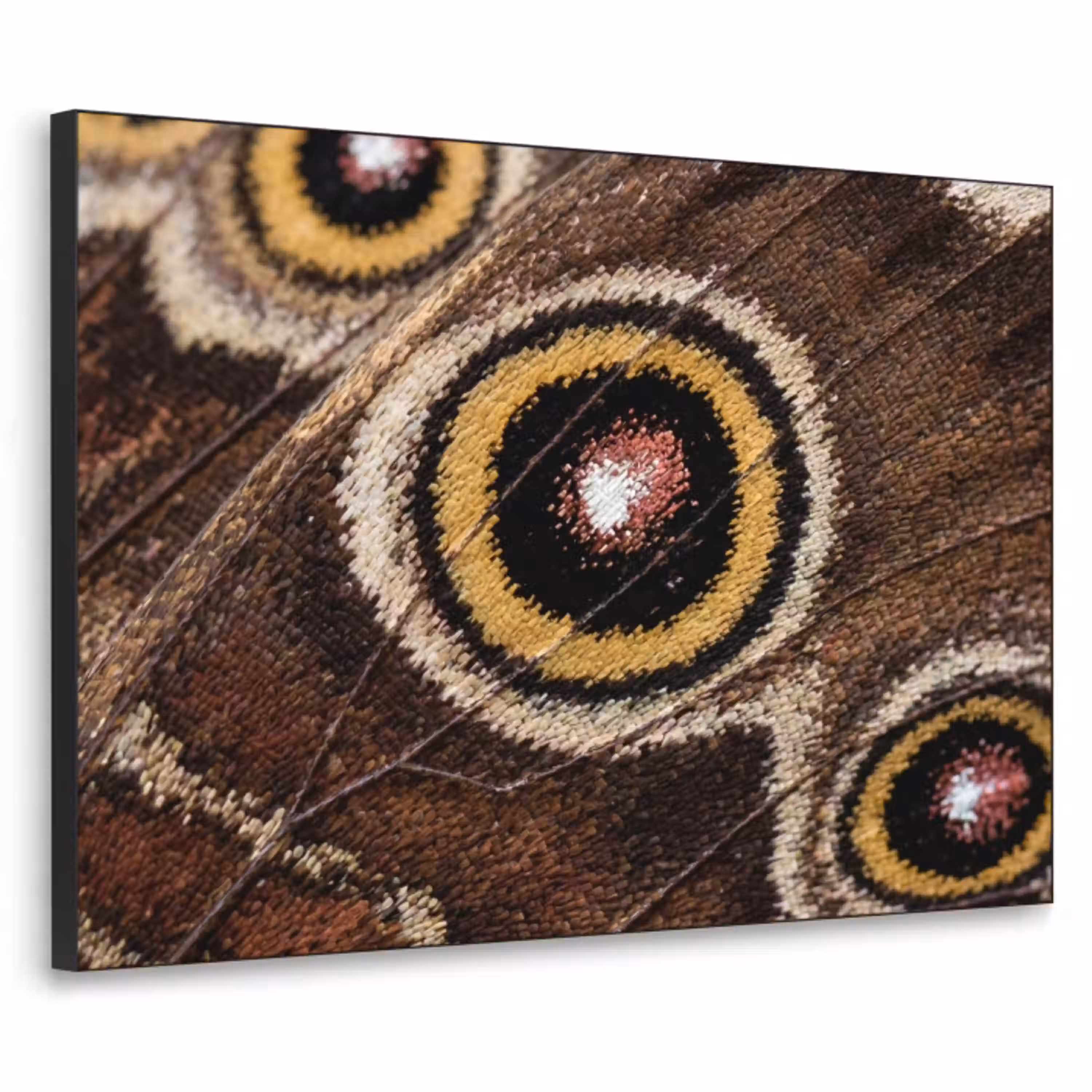 Vlinder - Vleugel - Abstract Textielframe zwart klein -3d