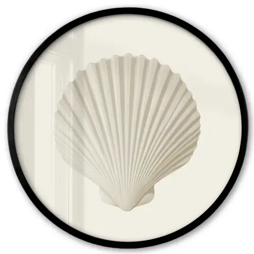 Schelp - Minimalistisch - Wit Fotolijst rond zonder passe partout klein -3d