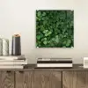 Groen - Bladeren - Kartel - Zonlicht plexiglas 5mm klein -sfeer1