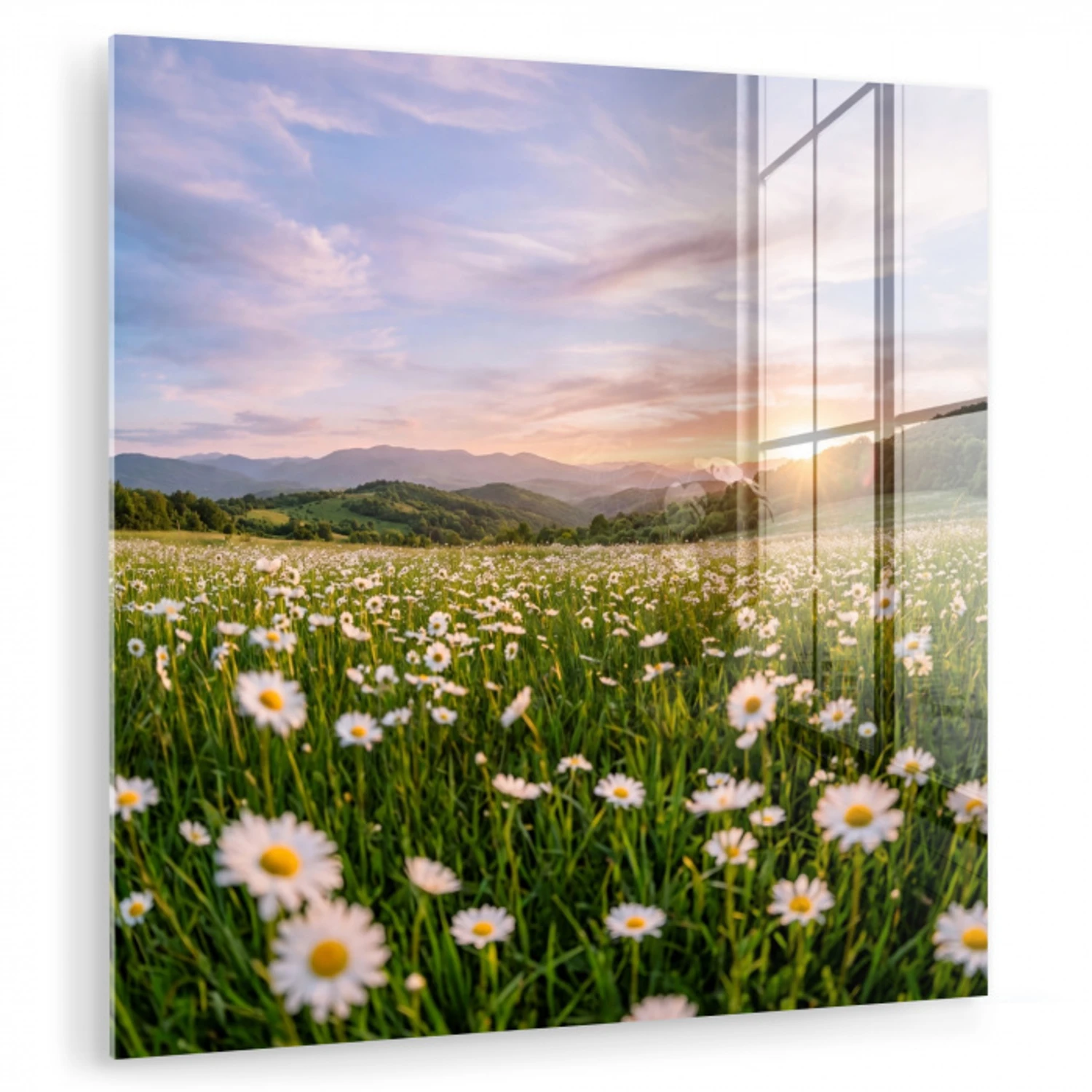 Madelief - Veld - Heuvels - Groen plexiglas 5mm klein -zzzproduct_nieuw