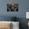 Olifant - Watercolor - Wilde dieren - Luxe poster papier klein -sfeer2