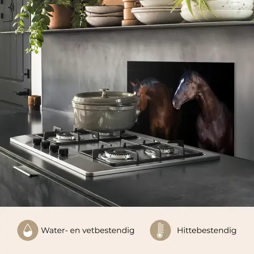 Paard - Dieren - Zwart keuken achterwand spatscherm klein -usp_NL
