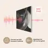 Close-up - Vinylplaat - Platenspeler - Zwart PET vilt klein -USP_NL