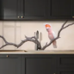 Papagaai - Tak - Roze keuken achterwand 2 middel -sfeer1
