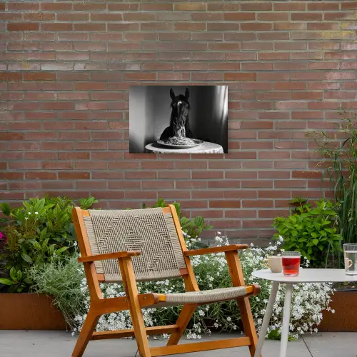 Paard - Bord - Pasta - Tafelkleed - Zwart Wit - Dieren Tuinposter op houten frame 2 cm dik klein -sfeer3