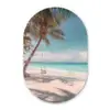 Palmboom - Schommel - Strand - Lucht Wandcirkel Ovaal Forex klein -3d