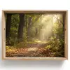 Zonlicht - Bospad - Bomen Dienblad Rechthoek middel -z3d_shopping