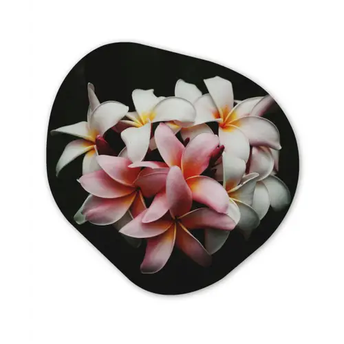 Bloemen - Roze - Zwart - Flora - Botanisch Wandcirkel Organisch Forex 3mm klein -3d
