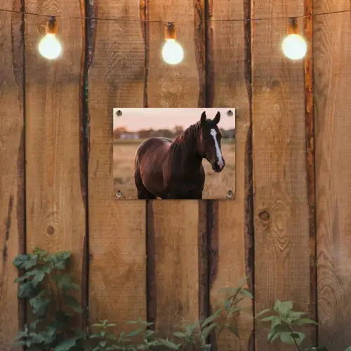 Paard - Zonsondergang - Bruin tuinposter los doek klein -sfeer1