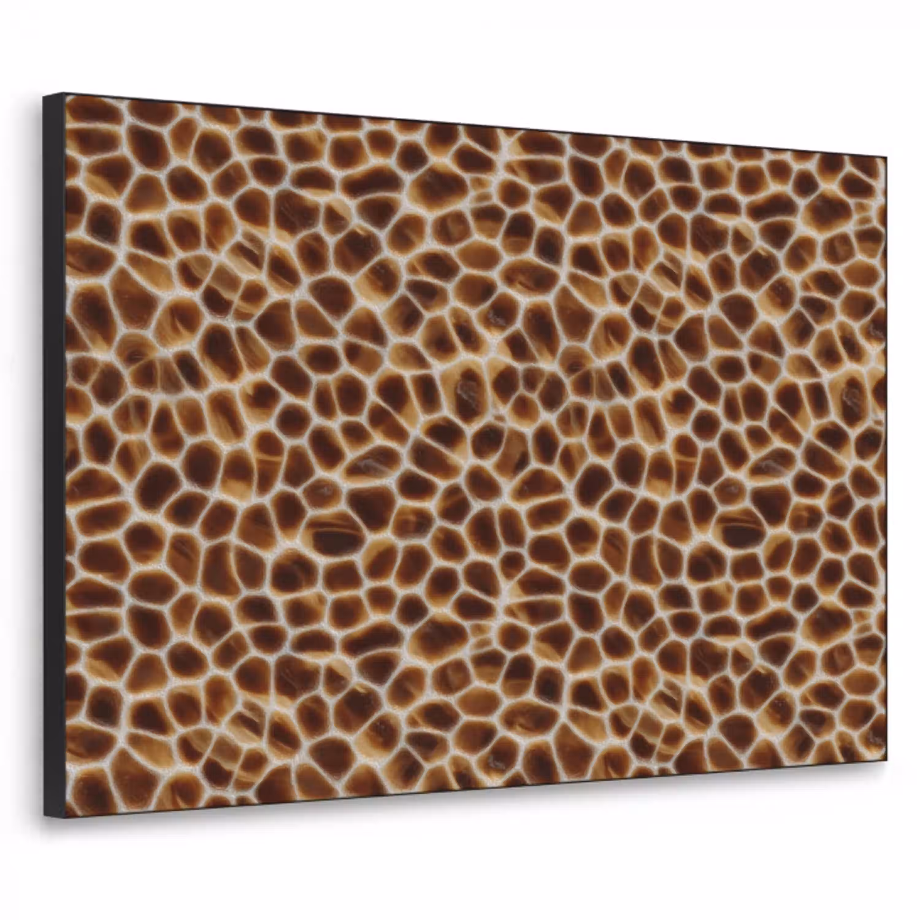 Schildpad - Bruin - Patroon Textielframe zwart klein 947 -3d