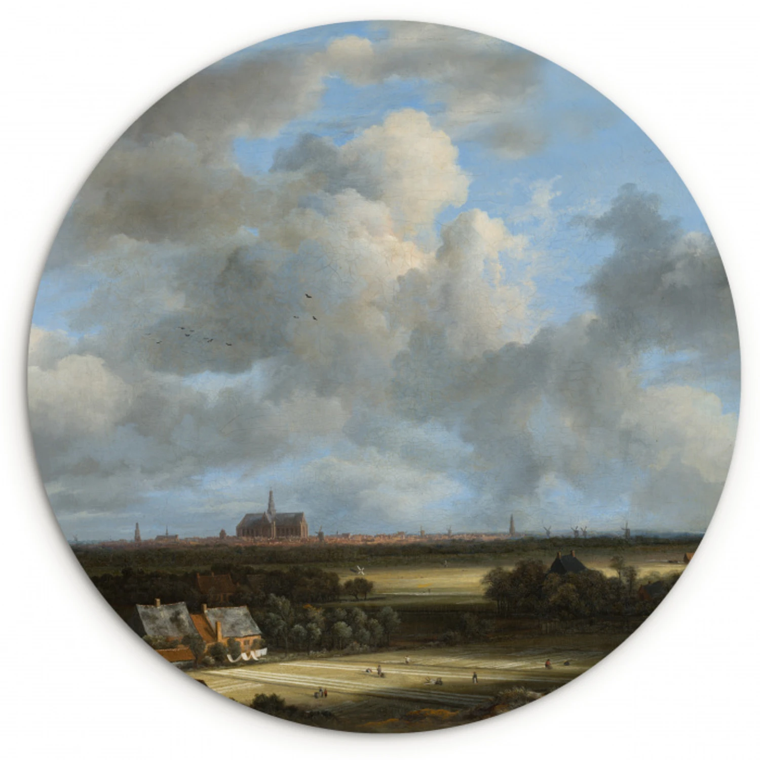 Gezicht op Haarlem met bleekvelden - Schilderij van Jacob van Ruisdael Wandcirkel kunststof plaat 5mm dik klein -3d
