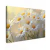 Madeliefjes - Wit - Zonlicht canvas 2cm klein -z3d