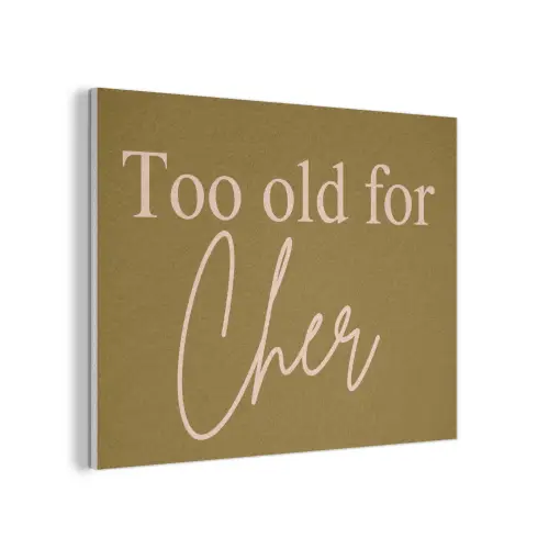 Groen - Too old for cher - Roze PET vilt klein -3d