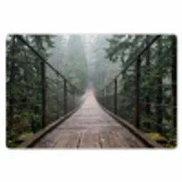 Brug - Bos - Mist - Natuur Placemat vinyl groot -zzsfeer1_Kitchenyeah-website