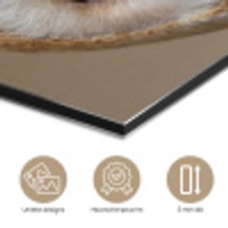 Uil - Bruin - Wit aluminium wit klein -closeup_NL