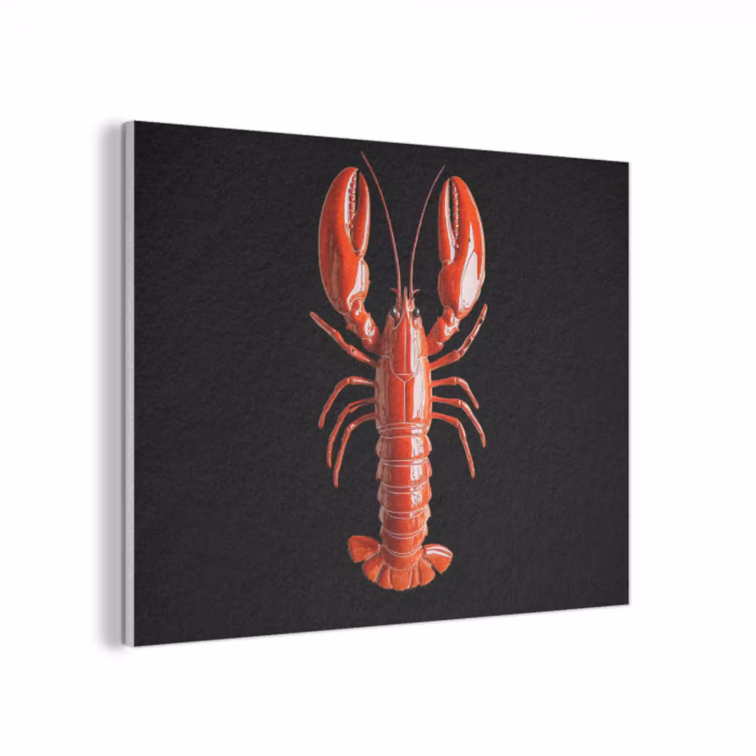 Kreeft - Glossier Rood - Zwart PET vilt klein -3d