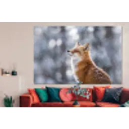 Vos - Sneeuwval - Portret - Winter - Sfeervol forex 5mm xxl -woonkamer