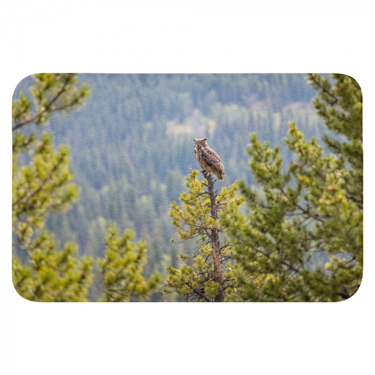 Uil - Oehoe - Bomen - Natuur Badmat klein -3d