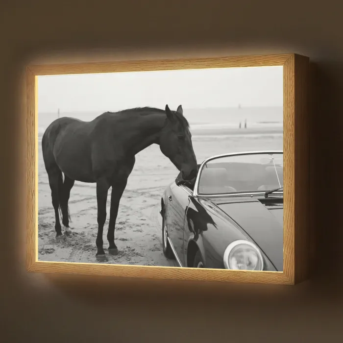 Paard - Auto - Zwart - Wit Light Box met batterij (Wandlamp) middel -z3d_website