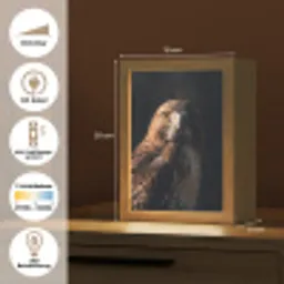 Roofvogel - Buizerd - Bruin Light Box met kabel (Kinderlampje) klein -USP_DE
