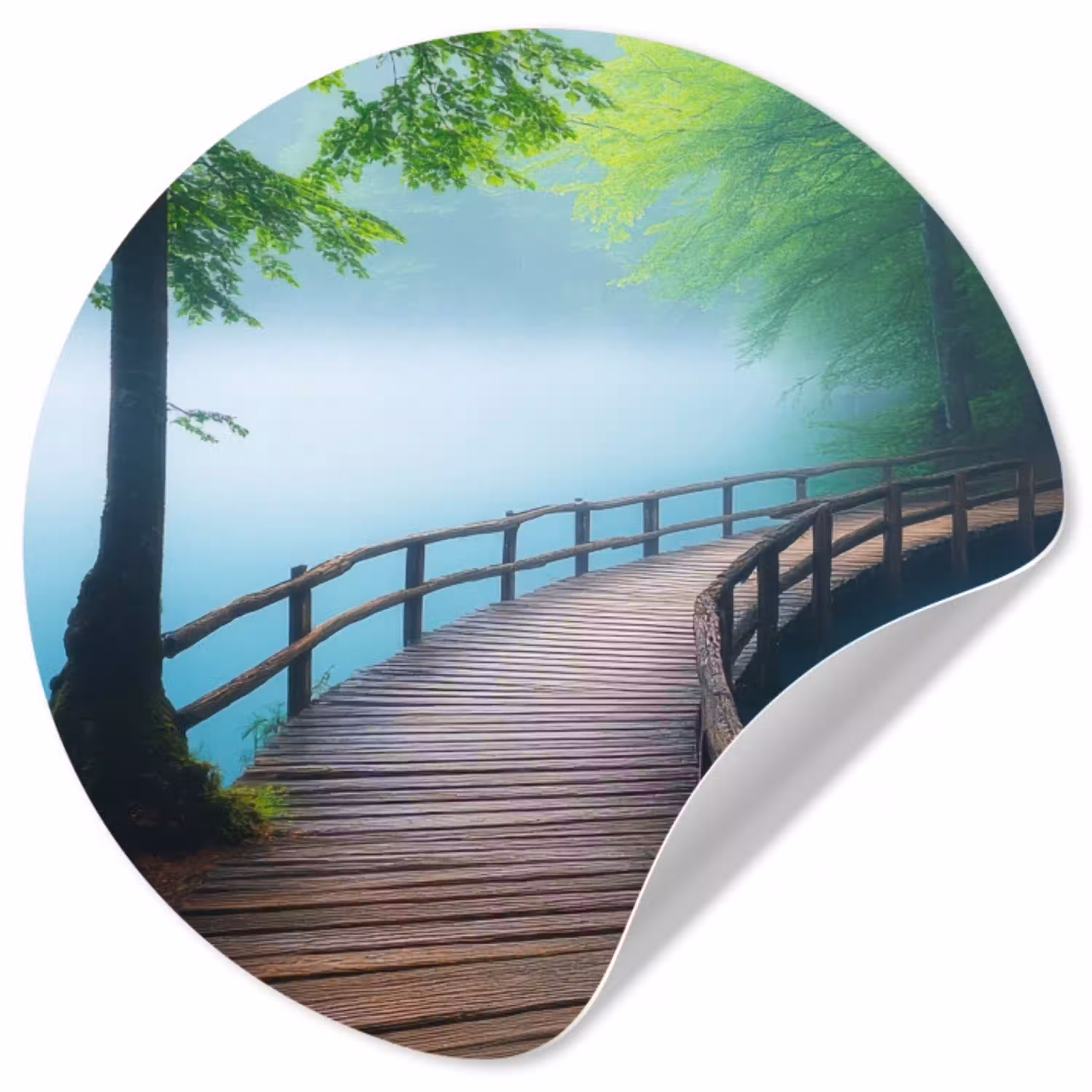 Brug - Water - Rivier - Bos Wandcirkel behangsticker klein -3d