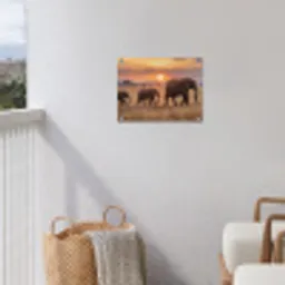 Olifanten - Savanne - Zonsondergang - Afrika - Warm tuinposter los doek klein -sfeer8