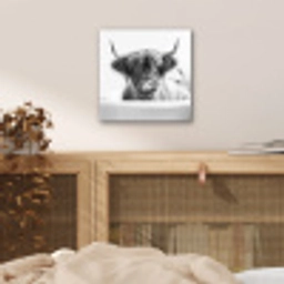 Schotse Hooglander - Koe - Bad - Zwart wit aluminium wit klein -sfeer3