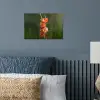 Bloem - Gladiolen - Zalmroze poster papier klein -sfeer2
