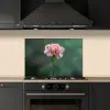 Anjer - Roze - Bloemblaadjes keuken achterwand spatscherm klein -sfeer1